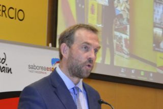 Fernando Vald&eacute;s, secretario de Estado de Turismo, prev&eacute; la llegada de17 millones de turistas este verano