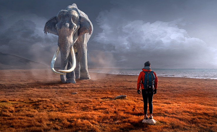 Israel de la Rosa: "La insignificancia"