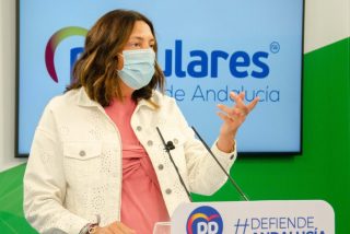 S&aacute;nchez ha negado a Andaluc&iacute;a un fondo de compensaci&oacute;n por la infrafinanciaci&oacute;n