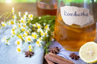 Qu&eacute; es y para qu&eacute; sirve la kombucha