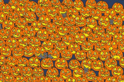 El Enigma de la Calabaza: encuentra en menos de 20 segundos la &uacute;nica sin nariz