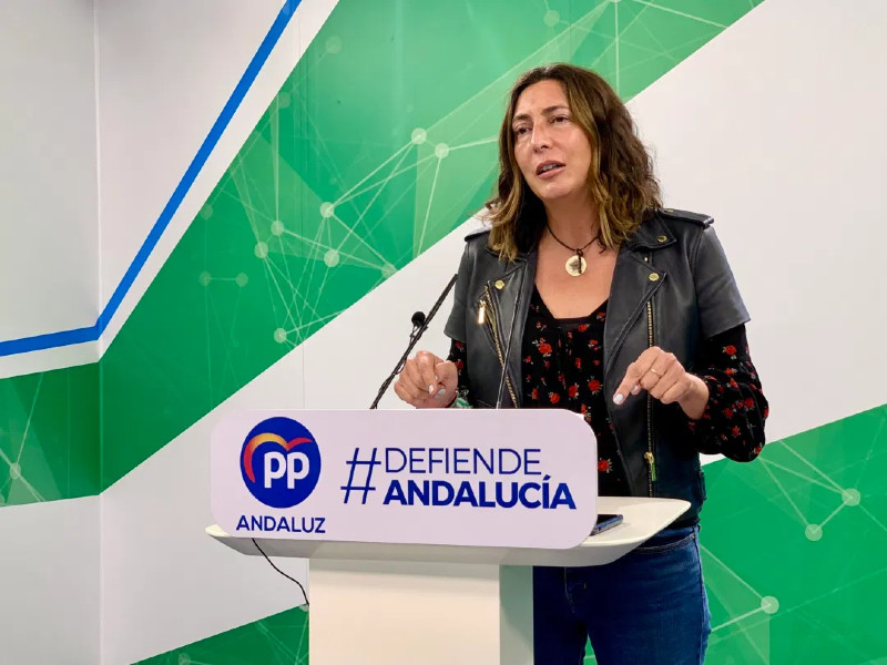 El PP andaluz exige al PSOE que &ldquo;abandone la oposici&oacute;n destructiva&rdquo; ante las nuevas medidas antiCovid para Navidad