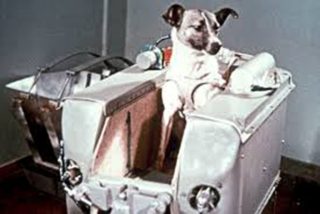 La perra Laika: Se cumplen 64 a&ntilde;os del primer ser vivo espacial