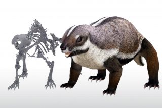 As&iacute; era la &lsquo;bestia loca&rsquo;, el mam&iacute;fero que intimidaba a los dinosaurios