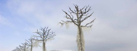 La borrasca Ingrid deja a una parte de Espa&ntilde;a paralizada con carreteras cortadas y miles de afectados