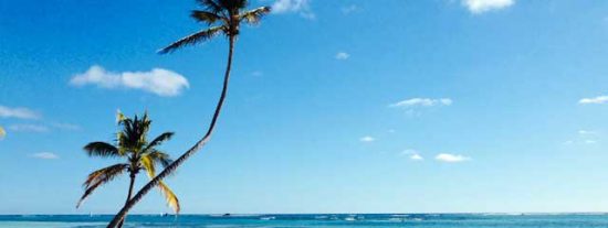 Playa Ricardo Miranda Miret