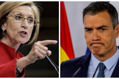 Rosa D&iacute;ez carga contra el "maldito" Pedro S&aacute;nchez por calcar el patriotismo de Arnaldo Otegi