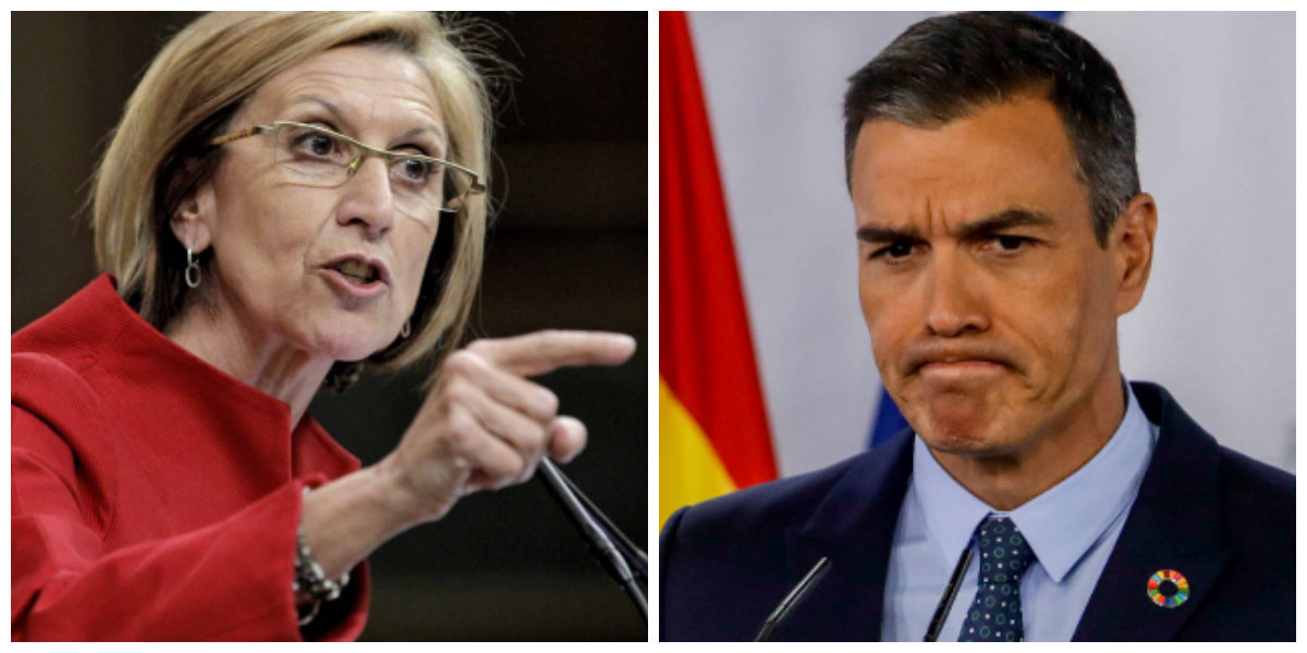 Rosa D&iacute;ez carga contra el "maldito" Pedro S&aacute;nchez por calcar el patriotismo de Arnaldo Otegi