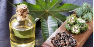 Propiedades aceite de ricino