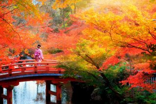 Kyoto: Qu&eacute; ver y hacer en la capital milenaria de Jap&oacute;n