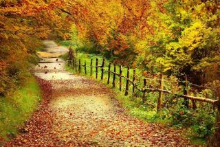 Adi&oacute;s al oto&ntilde;o