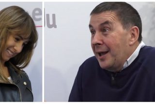 Pardo de Vera (P&uacute;blico) blanquea a Otegi y se r&iacute;e con las burlas del proetarra a Felipe VI y Juan Carlos I