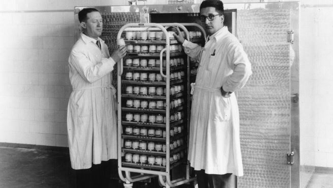 Historia de Danone