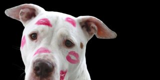 Pron&oacute;stico del Tiempo en Espa&ntilde;a: fr&iacute;o invernal, lluvia y nieve este 21 de diciembre de 2025