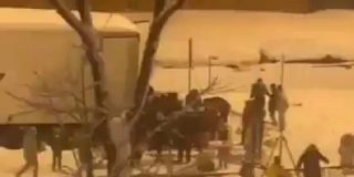 Los vecinos saquean un cami&oacute;n atrapado en la M-30 de Madrid, que transportaba 20.000 kilos de comida