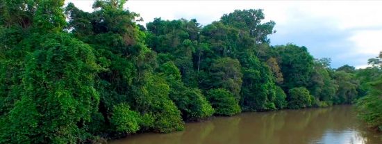 FITUR 2026: la Amazon&iacute;a peruana presentar&aacute; en Madrid su visi&oacute;n transformadora del turismo sostenible