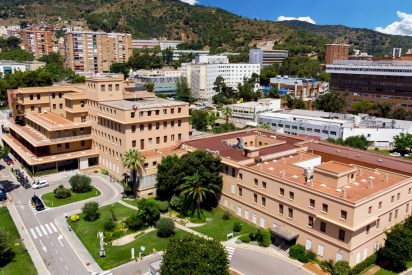 La Iglesia le ahorra al Estado muchos millones de euros al a&ntilde;o