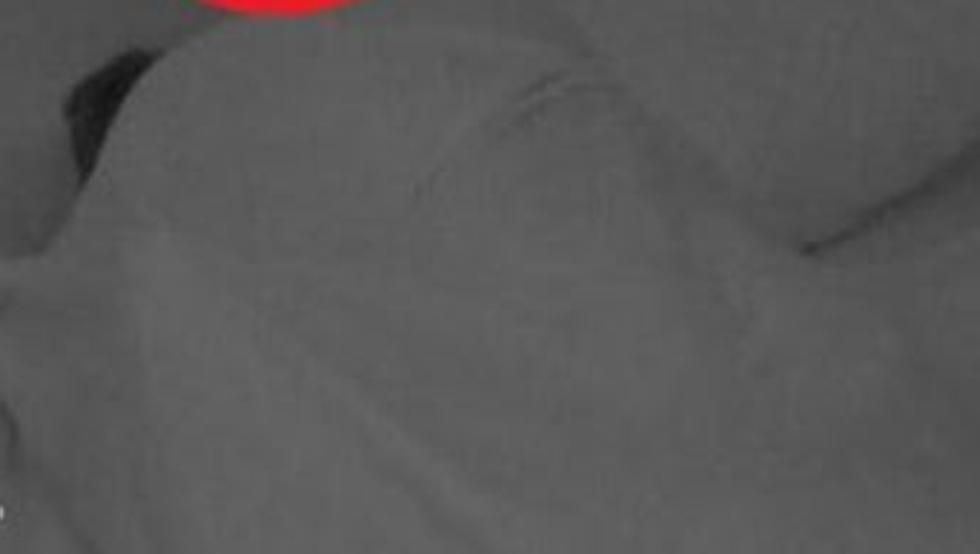 Filtran un tercer v&iacute;deo subido de tono de la 'Isla de las Tentaciones' con graves efectos