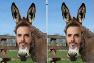 Alberto Garz&oacute;n pega otra coz al diccionario: "Hemos proponido cambiar leyes"