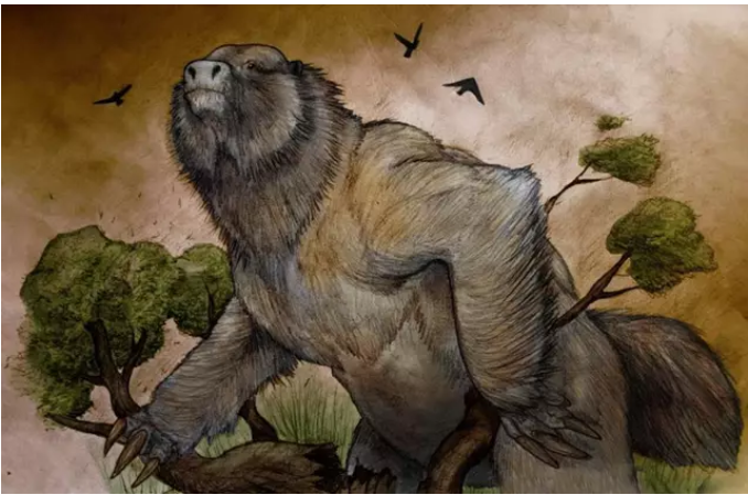 Las evidencias de la existencia de un perezoso ancestral tan grande como un elefante
