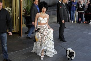 Lady Gaga : la Polic&iacute;a recupera sanos y salvos a los dos bulldogs franceses robados a la diva