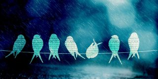 Pron&oacute;stico del Tiempo: lluvia y fr&iacute;o este 8 de febrero de 2021