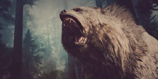 Cient&iacute;ficos logran secuenciar el genoma del oso de la cavernas usando un hueso de hace 360.000 a&ntilde;os