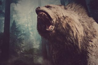 Científicos logran secuenciar el genoma del oso de la cavernas usando un hueso de hace 360.000 años