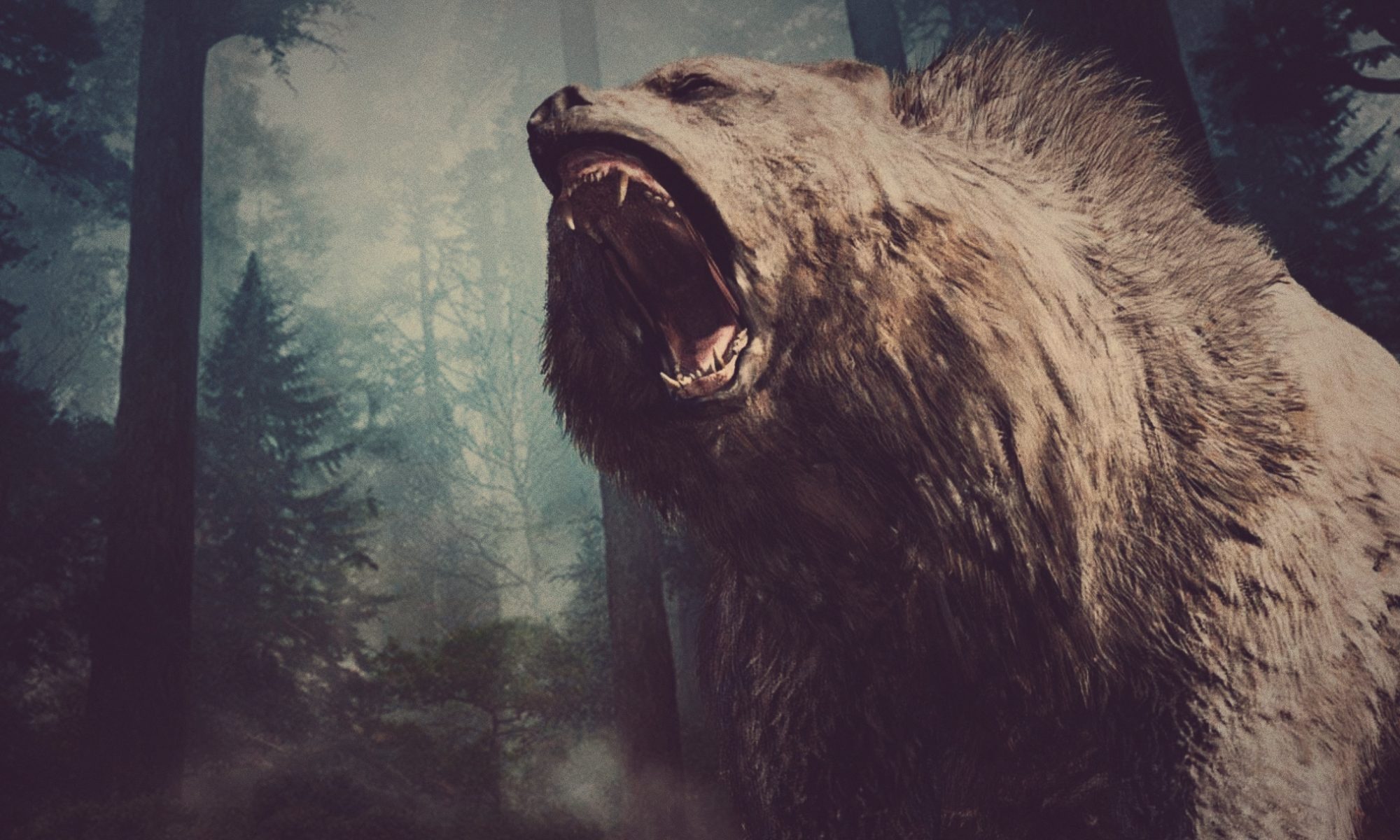 Científicos logran secuenciar el genoma del oso de la cavernas usando un hueso de hace 360.000 años