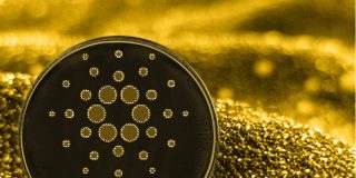 Criptomonedas: el Cardano se desploma un 31% en un día de ventas masivas