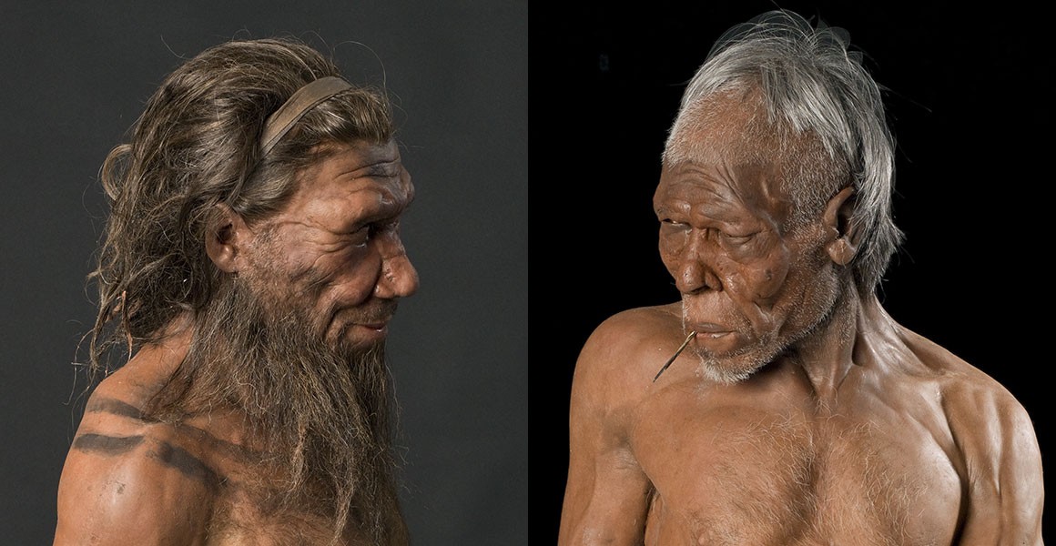 Descubren el 'arma secreta' del Homo sapiens para acabar con los neanderthales