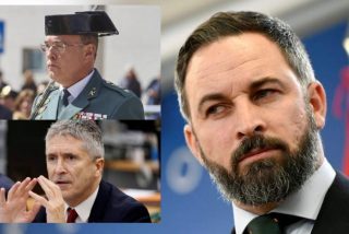 VOX se querella contra el ministro Marlaska, por delitos como obstrucci&oacute;n a la Justicia y prevaricaci&oacute;n