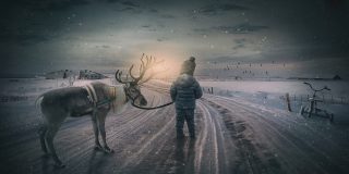 La hipn&oacute;tica danza circular de los renos para defenderse de los 'humanos'