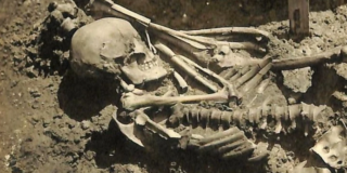 El hombre que muri&oacute; hace 3.000 a&ntilde;os tras recibir 800 heridas de un tibur&oacute;n