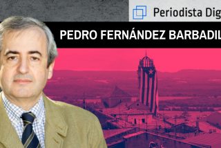 Pedro Fern&aacute;ndez Barbadillo
