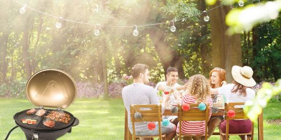 &iquest;Qu&eacute; barbacoa comprar?
