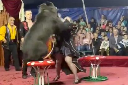 El momento en que el oso ataca a su domadora tres veces consecutivas en plena actuaci&oacute;n