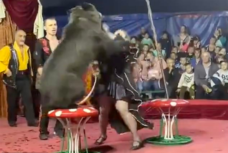 El momento en que el oso ataca a su domadora tres veces consecutivas en plena actuaci&oacute;n