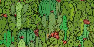 Reto Viral: encuentra en 20 segundos la tortuga, la rana y la serpiente