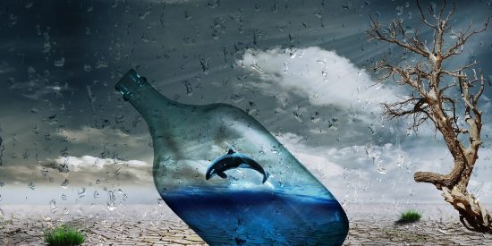 Beber agua embotellada afecta 1.400 veces más al ecosistema que consumirla del grifo