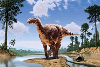 Hallan en Castell&oacute;n los restos de una especie desconocida de dinosaurio