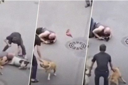 Un hombre protege con su cuerpo a su viejo perro del feroz ataque de dos american staffordshire terriers