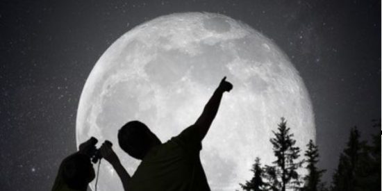 Mejores prism&aacute;ticos nocturnos