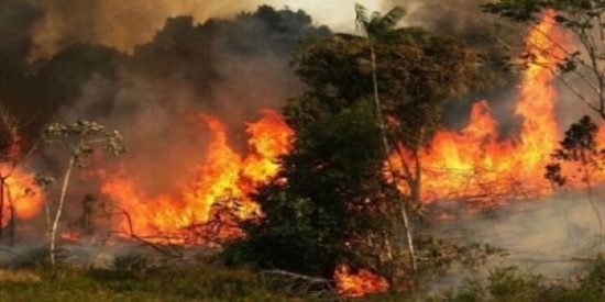 Fuego en Sierra Bermeja