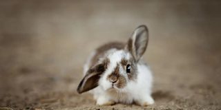 Pron&oacute;stico del Tiempo para este mi&eacute;rcoles 1 de abril de 2026