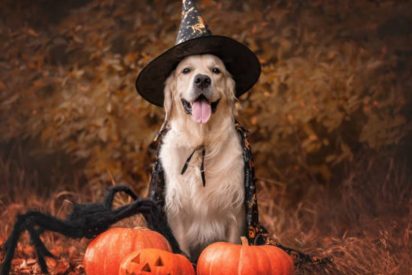 Hor&oacute;scopo de este lunes 19 de enero de 2026