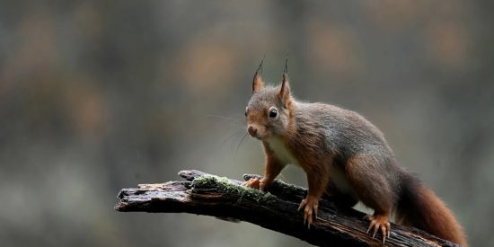 Pron&oacute;stico del Tiempo: sol pero con abrigo este 15 de diciembre de 2021