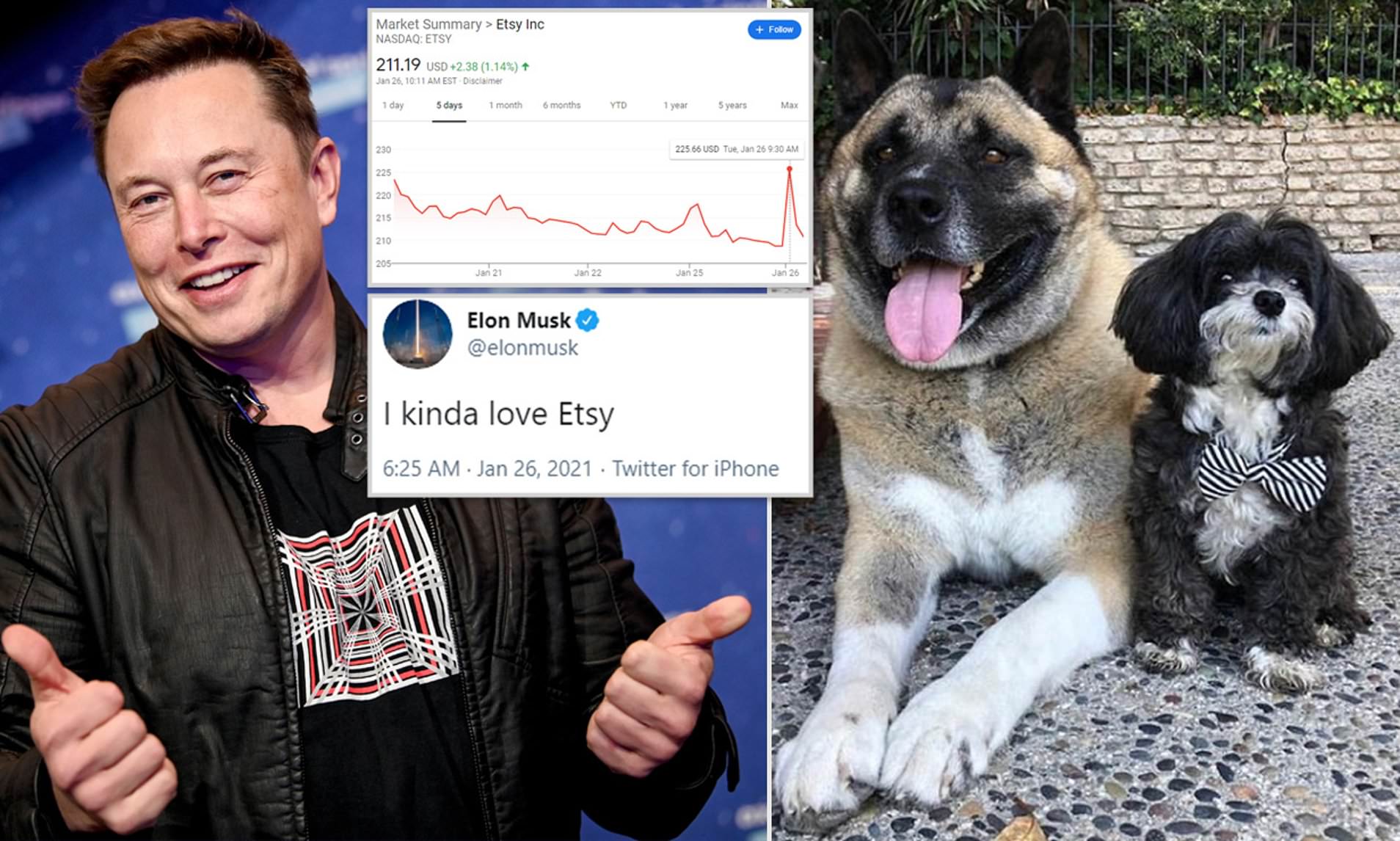 Criptomonedas: el Marvin de Elon, inspirado en el perro de Elon Musk, se dispara un 4.000 % en un d&iacute;a