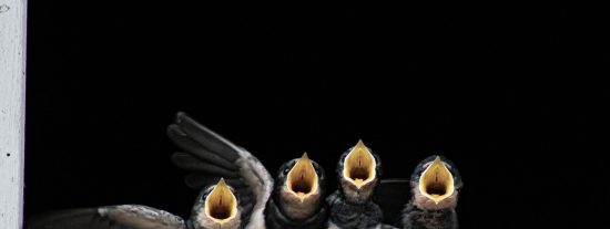 Pron&oacute;stico del Tiempo: fr&iacute;o, viento y avisos en Espa&ntilde;a este mi&eacute;rcoles 26 de noviembre de 2025