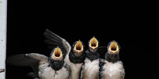 Pron&oacute;stico del Tiempo: fr&iacute;o, viento y avisos en Espa&ntilde;a este mi&eacute;rcoles 26 de noviembre de 2025